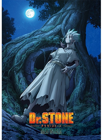 作品一覧/Ｄｒ．ＳＴＯＮＥ／TOHO animation STORE | 東宝