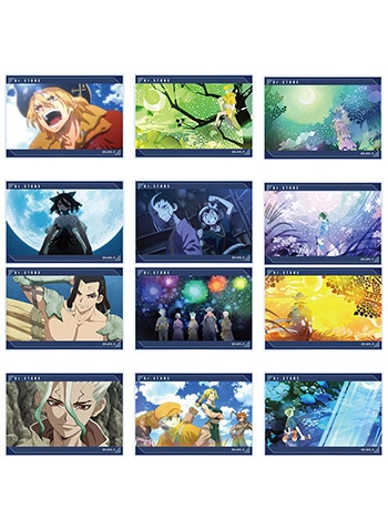 Dr.STONE g[fBONAJ[h yS12z Rv[gBOX