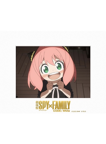 SPY×FAMILY A3キャラファイングラフ ティザービジュアル - その他