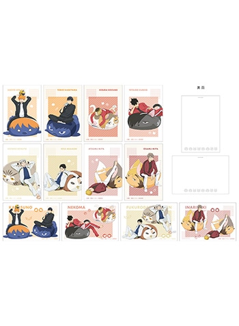 作品一覧/ハイキュー!!/ハイキュー!! グッズ(並び順：商品コード