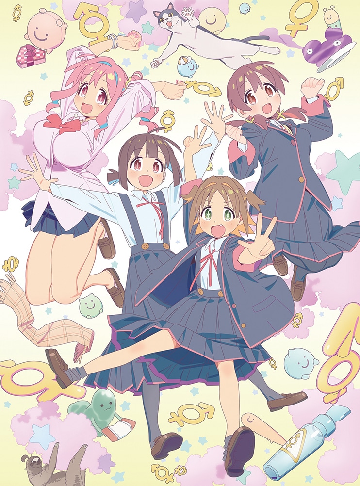 「お兄ちゃんはおしまい！」Blu-ray BOX 下巻