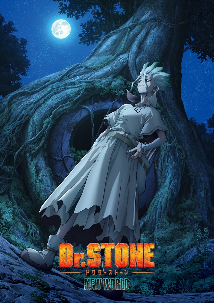 『Dr.STONE』 3rd SEASON DVD BOX 1 初回生産限定版