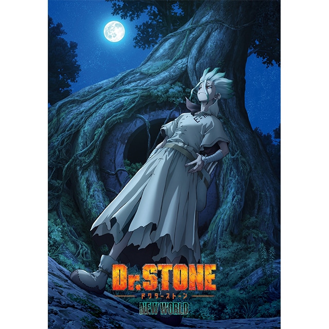 wDr.STONEx 3rd SEASON Blu-ray BOX 2 񐶎Y