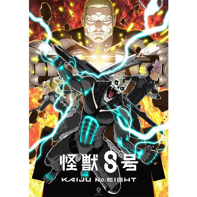 wbWx Vol.8 񐶎Y DVD
