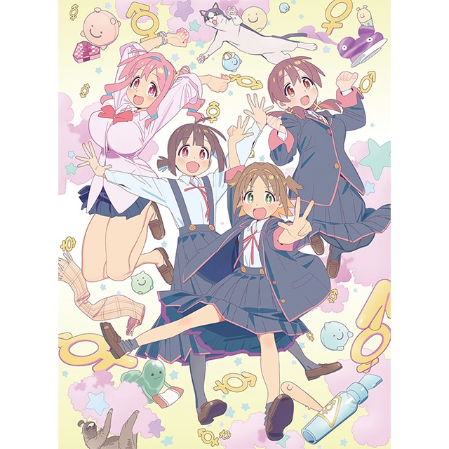 お兄ちゃんはおしまい！」Blu-ray BOX 下巻(Blu-ray BOX 下巻): 作品