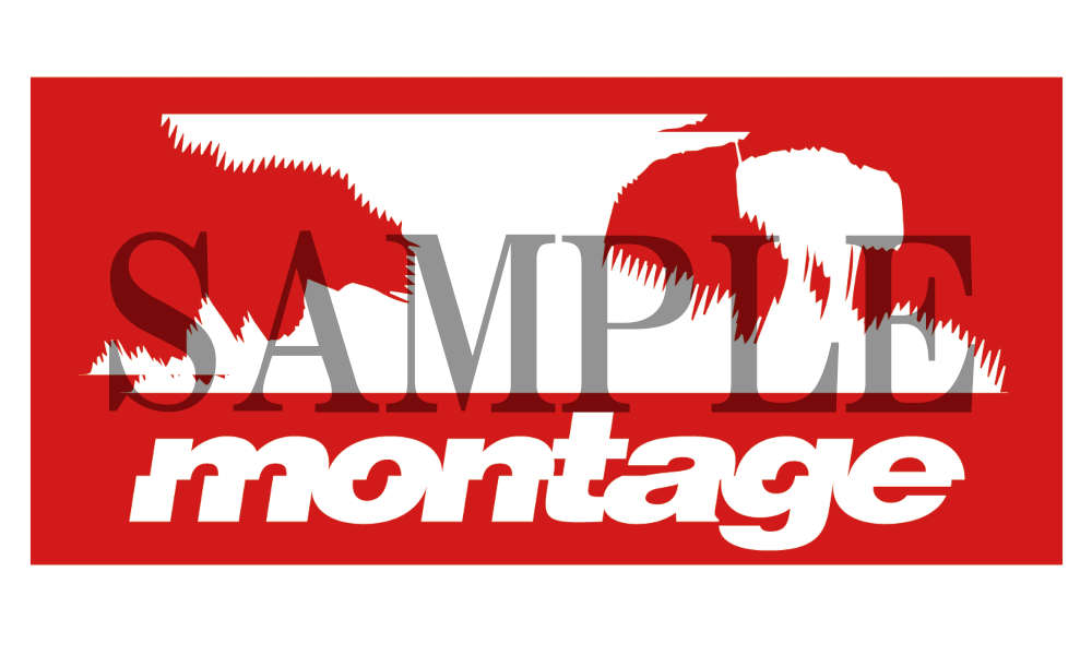montageオリジナルステッカー(非売品)